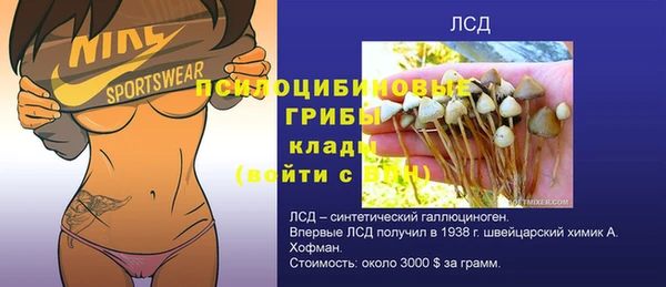 шишки Абдулино