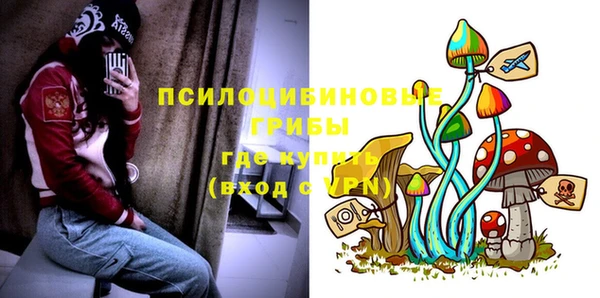 шишки Абдулино