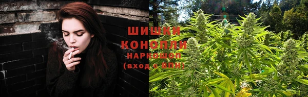 стафф Нефтекумск