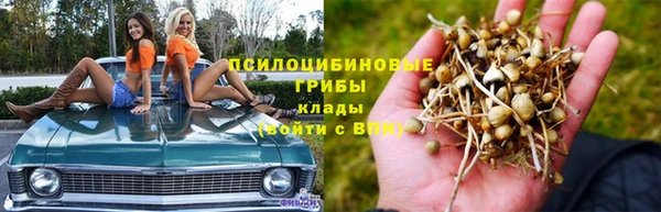 СК Абинск